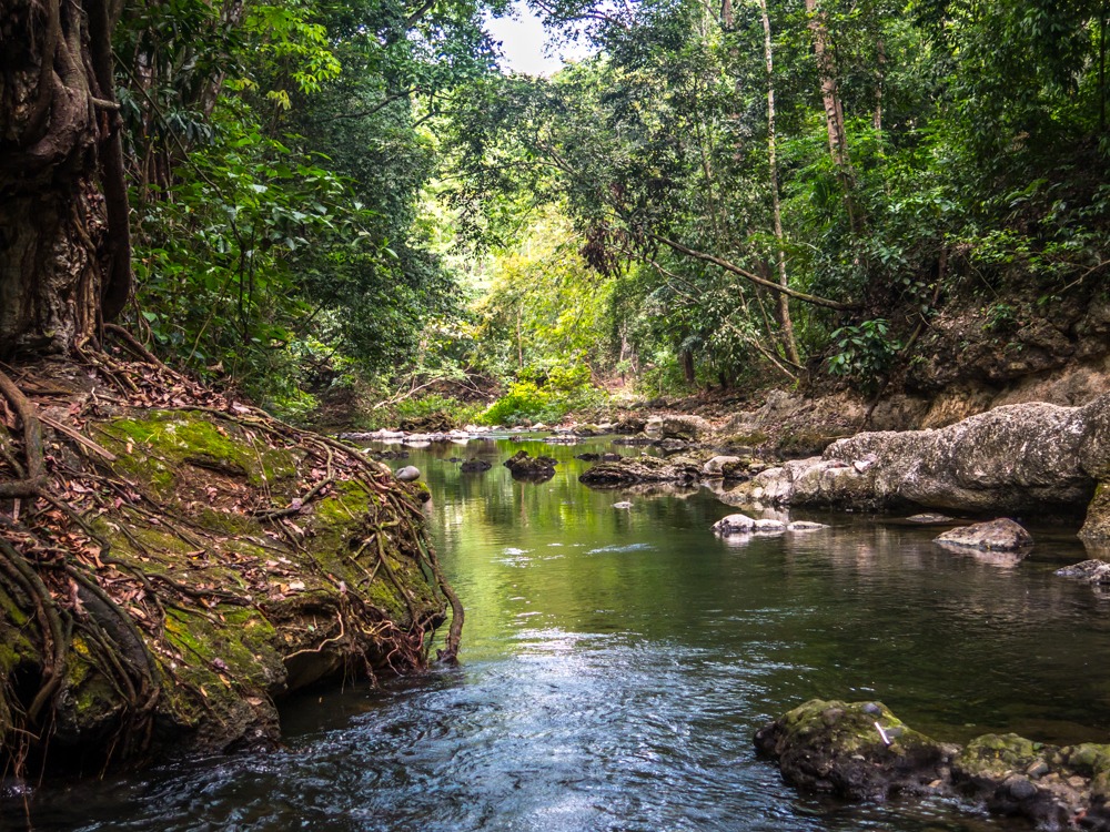 Finca el Paraíso