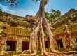 Angkor Ta Prohm