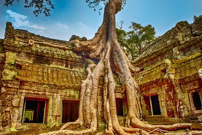 Angkor Ta Prohm Angkor Ta Prohm