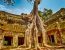 Angkor Ta Prohm