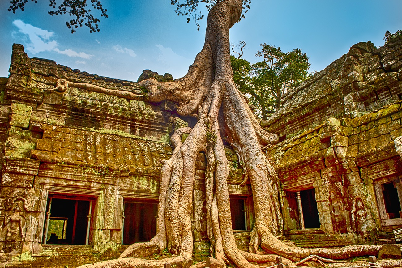 Angkor Ta Prohm