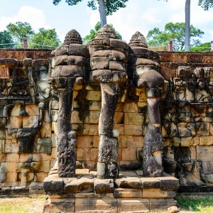 Terrasse des éléphants