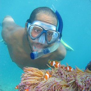 Mike et les poissons clowns Mike et les poissons clowns