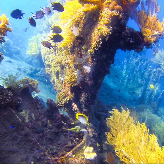 japanese-wreck-1 japanese-wreck-1