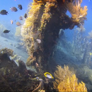 japanese-wreck-10 japanese-wreck-10