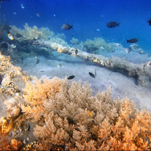 japanese-wreck-12 japanese-wreck-12