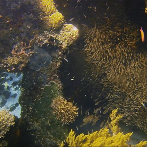 japanese-wreck-3 japanese-wreck-3