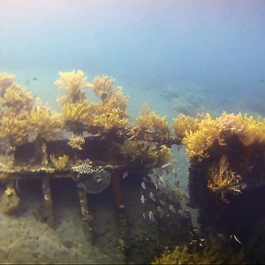 japanese-wreck-5 japanese-wreck-5