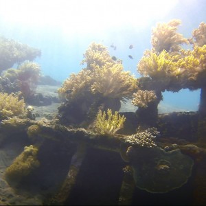 japanese-wreck-7 japanese-wreck-7