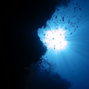 Vue d’un tombant Vue d'un tombant