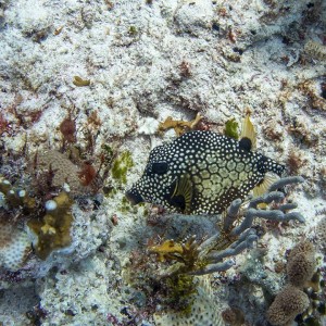 10359493_1543203969257135_6025483186650190599_n