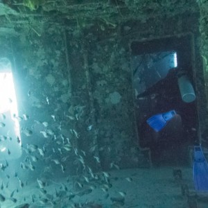 1527134_1543631652547700_7611386056187730043_n